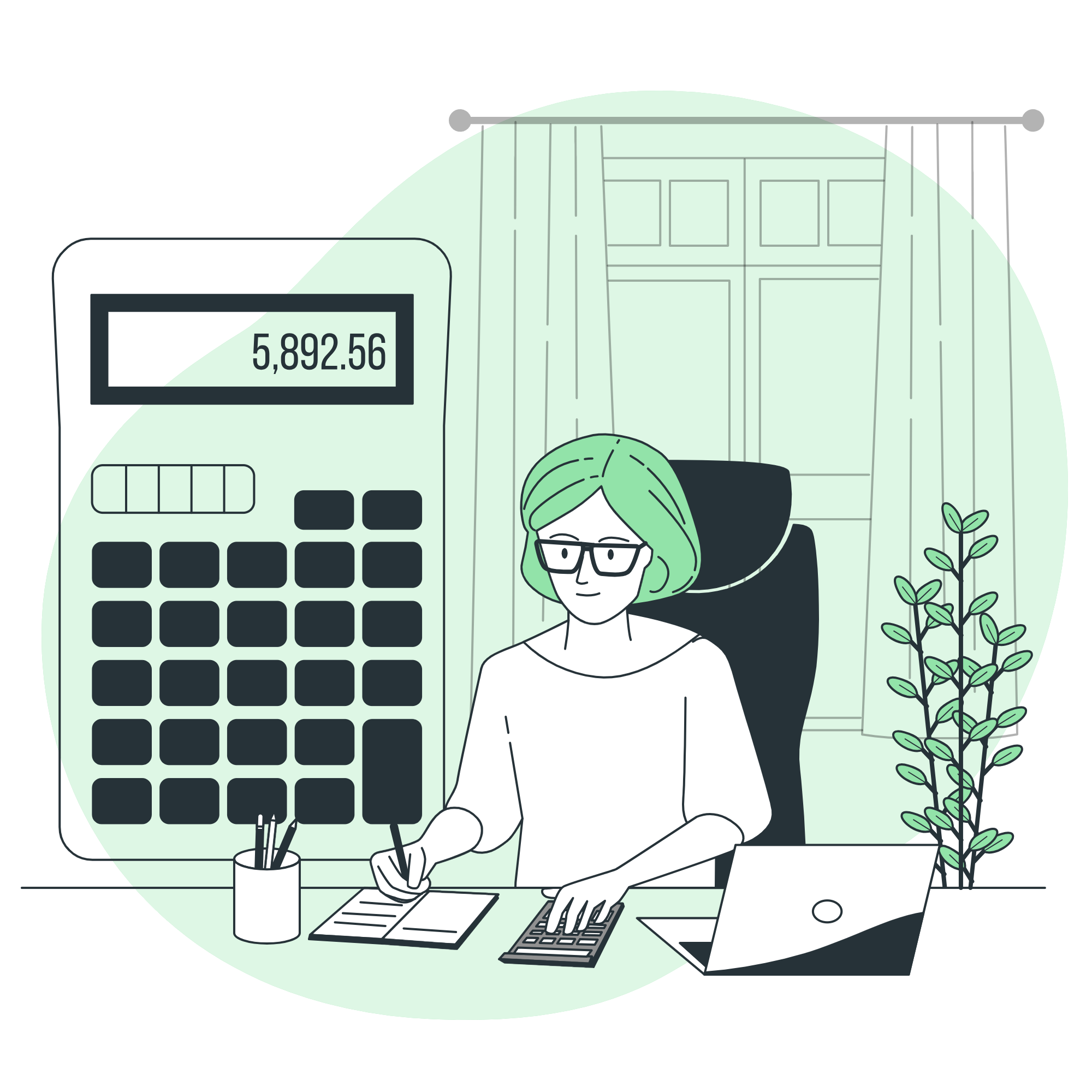 Accounting Professional
